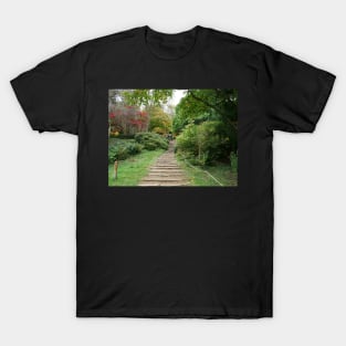 Azalea Steps Winkworth Arboretum T-Shirt